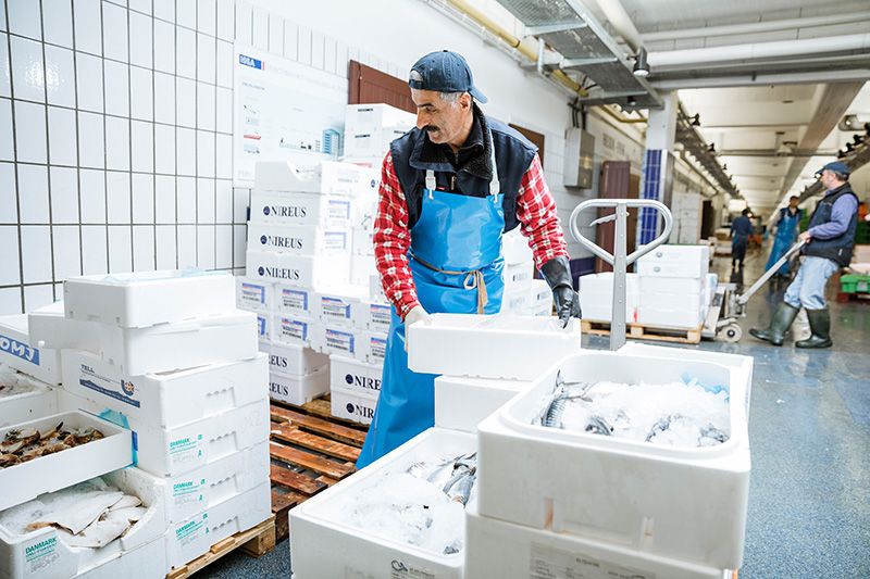 HHLA FISCHMARKT auf der elbmeile!