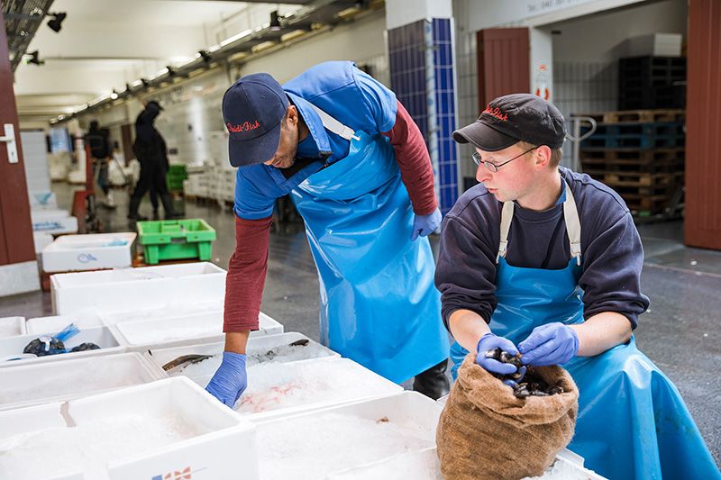 HHLA FISCHMARKT auf der elbmeile!