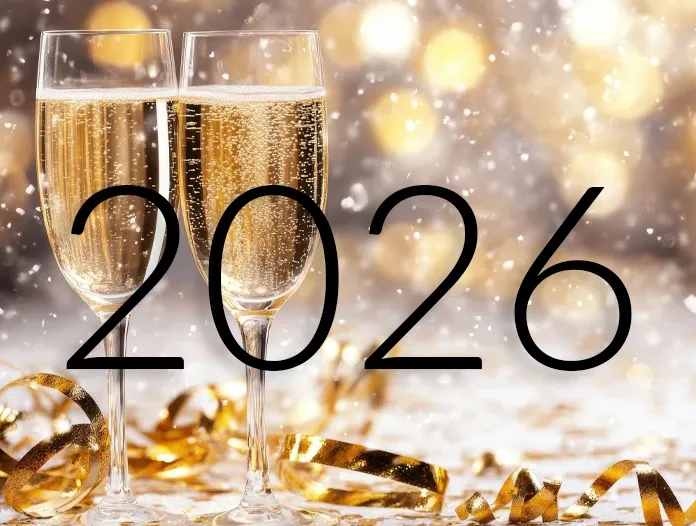 elbmeile neues Jahr 2026 bbec7308 - Elbmeile Hamburg