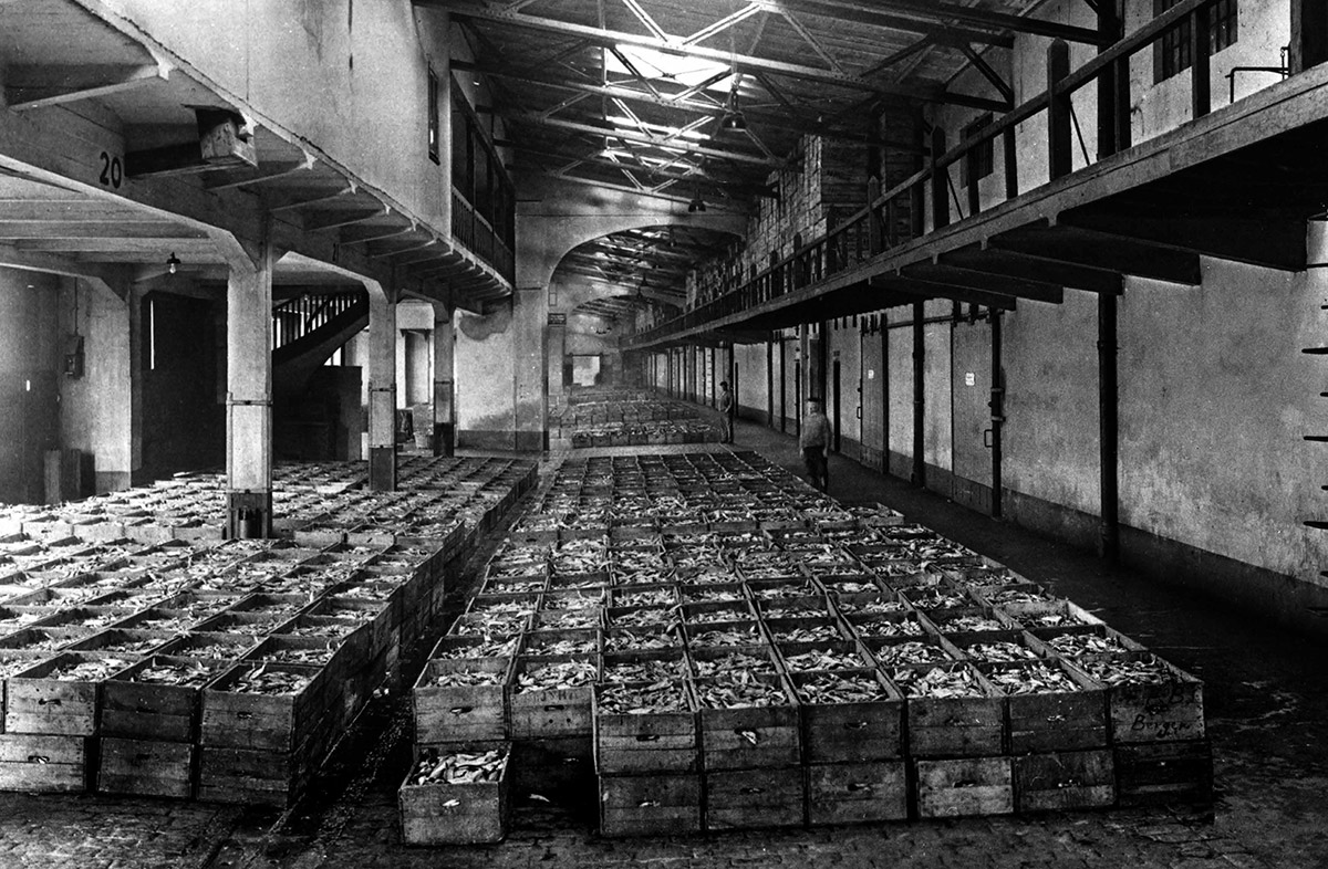 Die Fischauktionshalle im neuen Fischereihafen