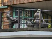 Skulpturen am Fischmarkt - Büro - Elbmeile