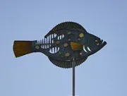 Fischwindrose auf der Elbmeile